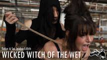 Wicked Witch of the Wet - w/TofuX