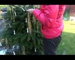 Mara wearing a black rain pants and a pink down jacket decorating the christmas tree (Video)