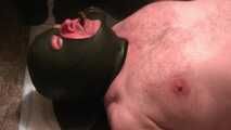 The pig eats KV