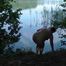 Secretly naked at the lake